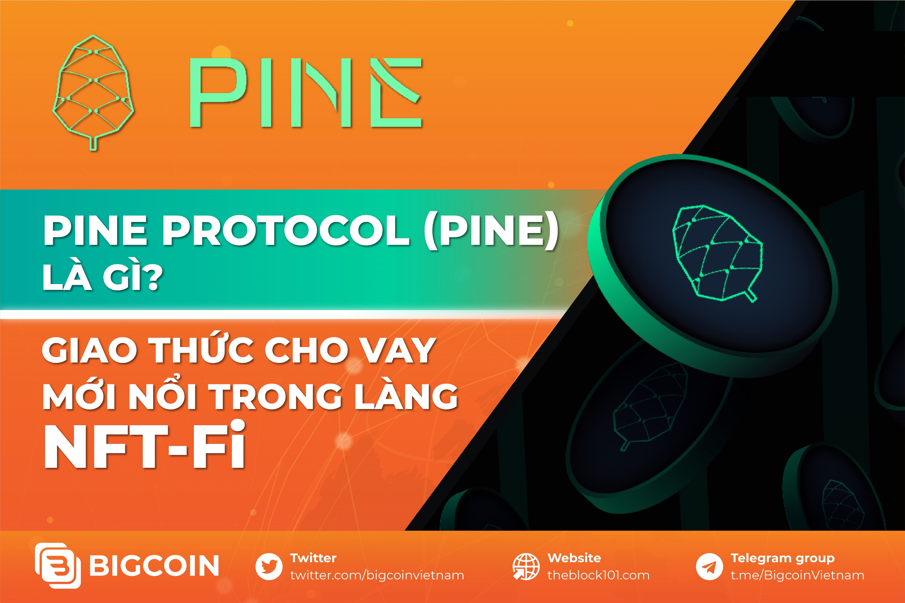 pine protocol crypto